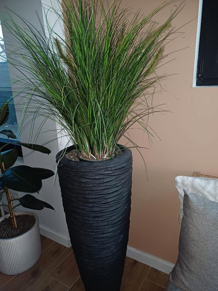 Plante d'intérieur, Maison & Meubles, Accessoires pour la Maison | Plantes & Fleurs artificielles, Comme neuf, Intérieur, Enlèvement