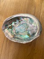 Mega grote Abalone schelp, Ophalen, Schelp(en)