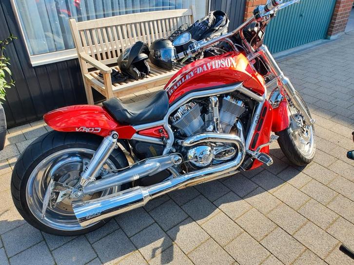 Harley Davidson V rod, Motoren, Motoren | Harley-Davidson, Particulier, Ophalen
