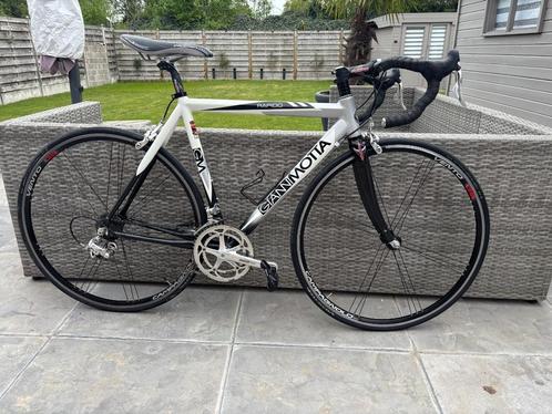 koersfiets '' 54'' 10speed Gianni Motta perfecte staat, Fietsen en Brommers, Fietsen | Heren | Sportfietsen en Toerfietsen, Zo goed als nieuw