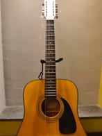 Guitare acoustique 12 cordes Fender micro Seymour Duncan, Enlèvement, 12 cordes