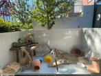 Ruim houten hamsterhok/hamsterkooi + accessoires, bieden mag, Dieren en Toebehoren, Gebruikt, 75 tot 110 cm, Ophalen, Minder dan 60 cm