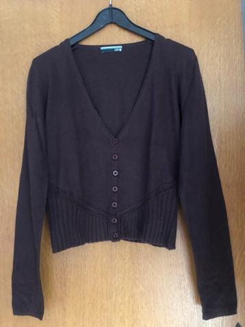 Vêtements pour femmes : veste marron foncé, Taille 46/48 (XL) ou plus grande, Enlèvement ou Envoi, Senso, Brun