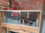 Houten terrarium, Dieren en Toebehoren, Ophalen