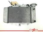 RADIATEUR Honda Dylan (PS150i) (01-1970/-) (713080), Motoren, Gebruikt