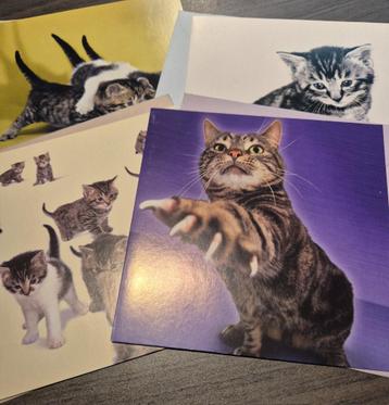 4 kaarten met enveloppe beschikbaar voor biedingen