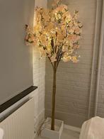 verlichte boom kersenbloesem, Huis en Inrichting, Ophalen