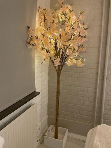 verlichte boom kersenbloesem beschikbaar voor biedingen