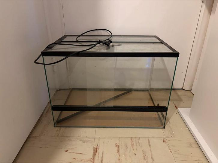 Terrarium, Animaux & Accessoires, Reptiles & Amphibiens | Accessoires, Utilisé, Terrarium ou Paludarium, Enlèvement