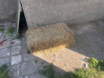 Hooi kleine balen  beschikbaar voor biedingen