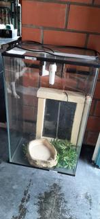 Terrarium, Dieren en Toebehoren, 3 tot 6 jaar