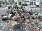 gevelde boom, brandhout, 6 m³ of meer, Ophalen, Eikenhout, Blokken