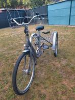 Driewieler fiets, Ophalen, Minder dan 10 versnellingen, Zo goed als nieuw, 47 tot 51 cm