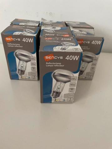 Nieuwe lampen beschikbaar voor biedingen