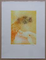 ANDRE GOEZU / PENTATEUCH / KLEURETS-AQUATINT / 33x25cm / SIG, Antiek en Kunst, Kunst | Litho's en Zeefdrukken, Ophalen of Verzenden