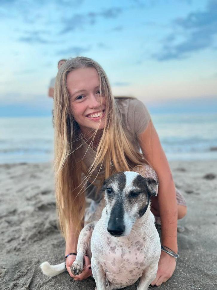 Tutorat dans l'enseignement primaire, Divers, Divers Autre, Enlèvement