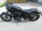 Harley Davidson XL883  Sportster Iron, Motoren, Motoren | Harley-Davidson, 2 cilinders, Chopper, Bedrijf, 883 cc