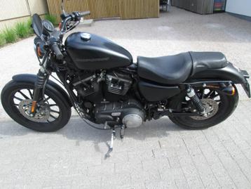 Harley Davidson XL883  Sportster Iron, Motoren, Motoren | Harley-Davidson, 2 cilinders, Chopper, Bedrijf, 883 cc