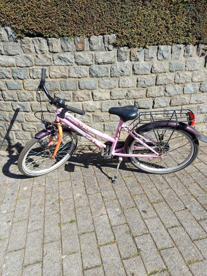 fietsen, Fietsen en Brommers, Fietsen | Dames | Damesfietsen, Gebruikt, Versnellingen, Ophalen