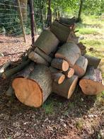 Brandhout: alleen beuk, Ophalen, Beukenhout, Stammen