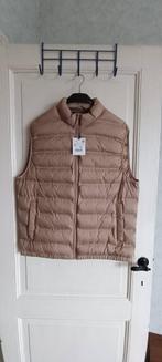 Veste sans manches - Taille XL, Vêtements | Hommes, Blousons sans Manches, Enlèvement, Neuf, Beige, Zara
