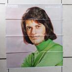 Oude poster Bobby Ranger, Ophalen of Verzenden, Zo goed als nieuw