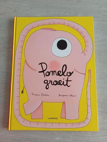 Verschillende Prentenboeken, voorleesverhaaltjes... beschikbaar voor biedingen
