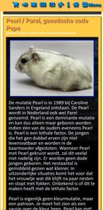 Hobby fokker is opzoek naar een vrouwelijk Mandarijn, Pearl, Dieren en Toebehoren, Knaagdieren, Hamster, Vrouwelijk, Januari, Tam