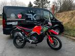 Ducati desert x rally 2024, Motoren, 936 cc, 2 cilinders, 12 t/m 35 kW, Sport