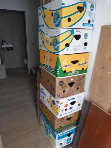 GRATIS af te halen 8 bananendozen beschikbaar voor biedingen