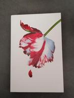 Stephenie Meyer - Nieuwe maan, Ophalen of Verzenden, Zo goed als nieuw, Stephenie Meyer