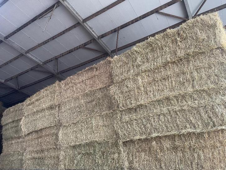 Frans weide hooi 120/70 2m40, Dieren en Toebehoren, Dierenvoeding, Overige soorten, Ophalen of Verzenden