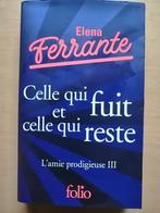 L'amie prodigieuse, tome 3 d'Elena Ferrante, Boeken, Romans, Ophalen of Verzenden