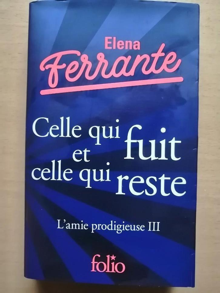 L'amie prodigieuse, tome 3 d'Elena Ferrante, Boeken, Romans, Ophalen of Verzenden