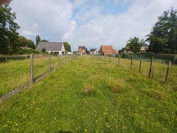 Bouwgrond/projectgrond