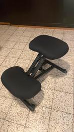 Ergonomische stoel, Ophalen, Zo goed als nieuw, Stof