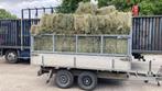 strooi kleine balen, Dieren en Toebehoren, Stalling en Weidegang