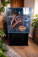 Terrarium neuf avec accessoires, Animaux & Accessoires