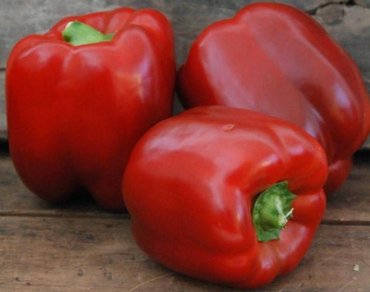 5 zaden rode paprika King of the North, Tuin en Terras, Bloembollen en Zaden, Zaad, Voorjaar, Volle zon, Verzenden