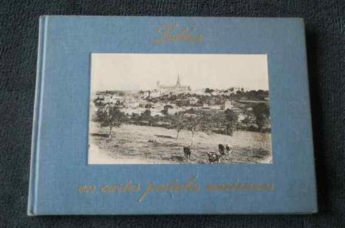 Lobbes en cartes postales anciennes, Verzamelen, Postkaarten | België, Henegouwen, Ophalen of Verzenden
