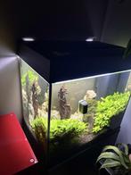 Aquarium, Ophalen, Grind, Zand of Voedingsbodem