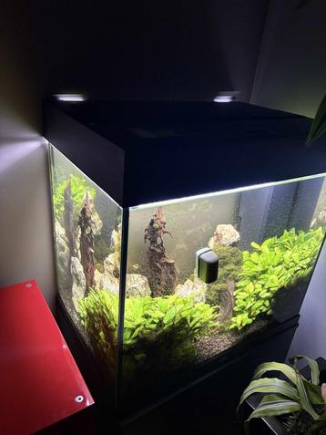 Aquarium beschikbaar voor biedingen