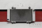 RADIATEUR Kawasaki NINJA 250 (ZXR250 EX250J ZX 250 R), Motoren, Gebruikt