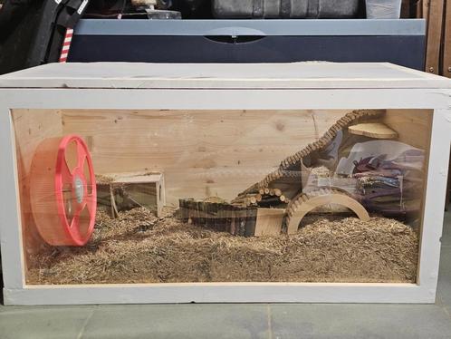 Terrarium hamster (ou autre), Dieren en Toebehoren, Knaagdieren en Konijnen | Hokken en Kooien, Gebruikt, Kooi, Minder dan 60 cm