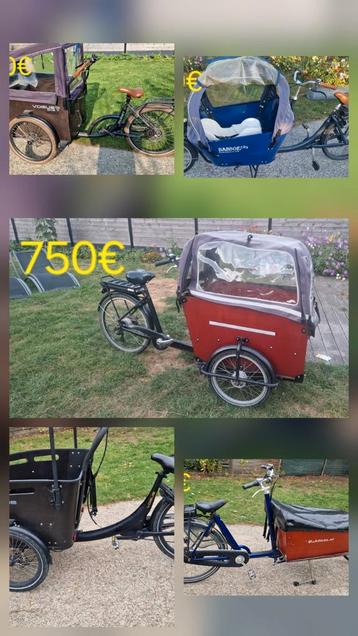 Elektrische bakfietsen babboe, Vogue beschikbaar voor biedingen