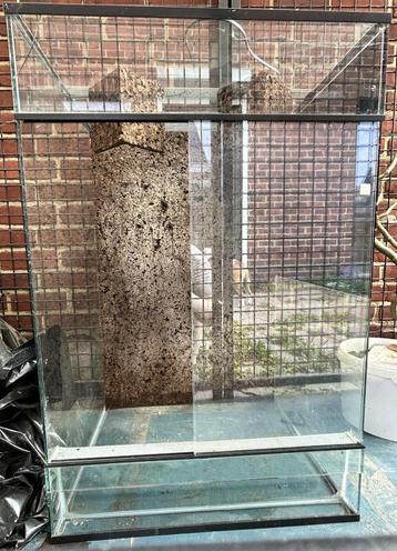 glazen terrarium 92H X 61B x 51.5D beschikbaar voor biedingen