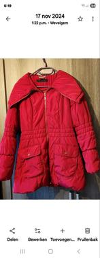 Winterjas, Kleding | Dames, Jassen | Winter, Ophalen of Verzenden, Zo goed als nieuw, Maat 42/44 (L)