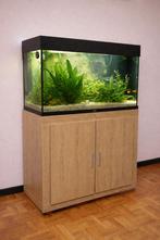 Juwel Rio 125, Dieren en Toebehoren, Ophalen, Zo goed als nieuw, Gevuld zoetwateraquarium