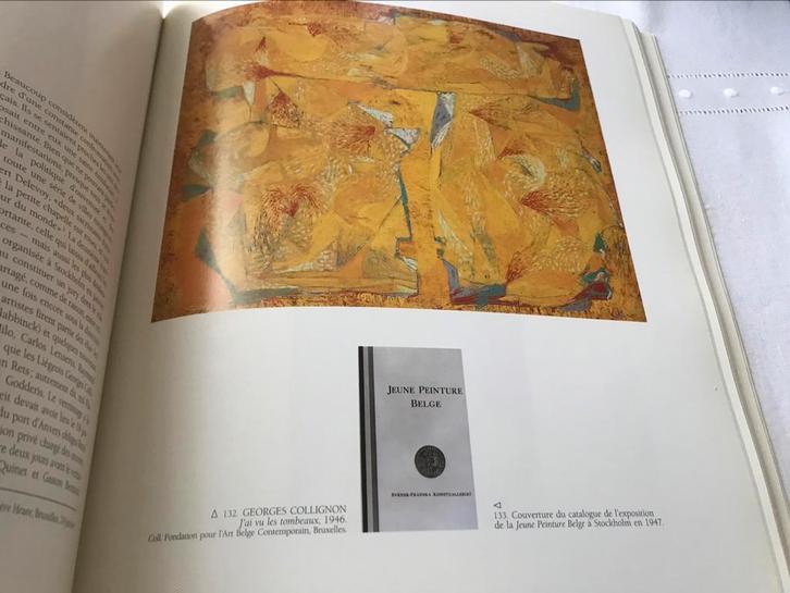 La Jeune Peinture Belge 220pag Rets Delahaut Collignon, Boeken, Kunst en Cultuur | Beeldend, Zo goed als nieuw, Schilder- en Tekenkunst