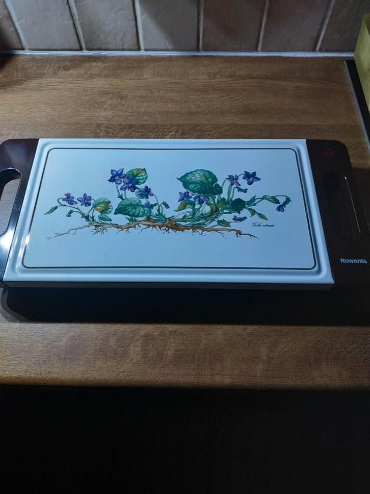 Warmhoudschotel Rowenta elektrisch, Elektronische apparatuur, Overige elektronische apparatuur, Zo goed als nieuw, Ophalen
